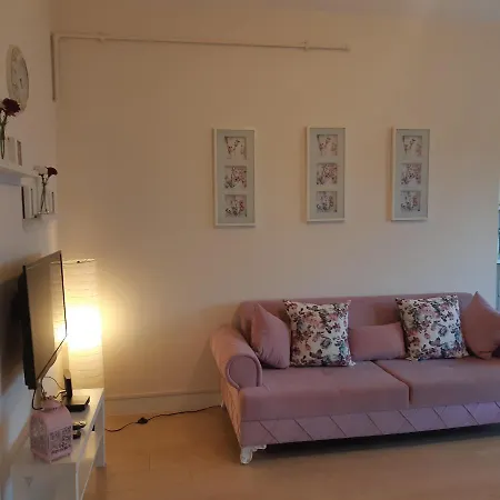 Apartment In Bursa Panayir